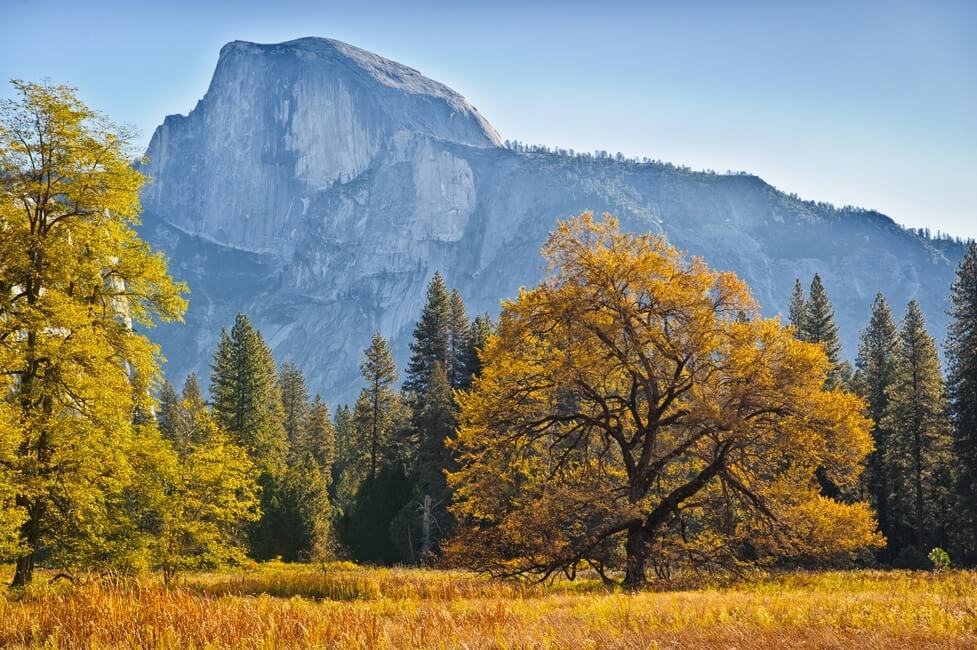 Half Dome Yosemite Fall Colors