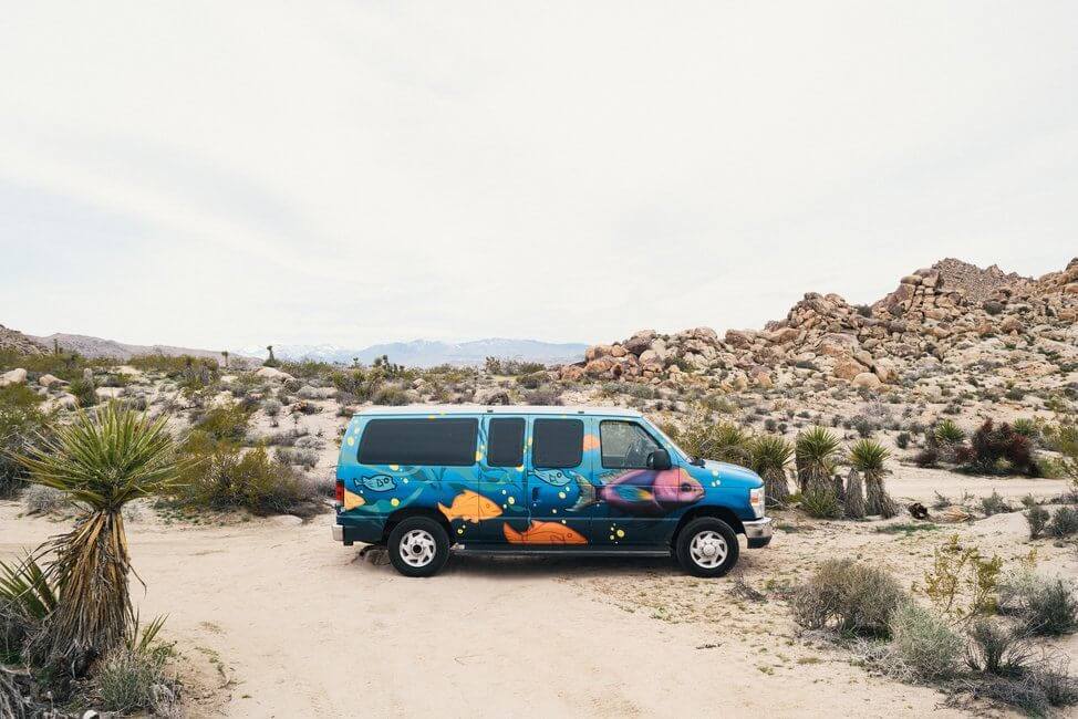 Joshua Tree National Park February road trip