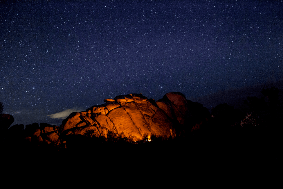 Night sky and stars Joshua Tree National Park