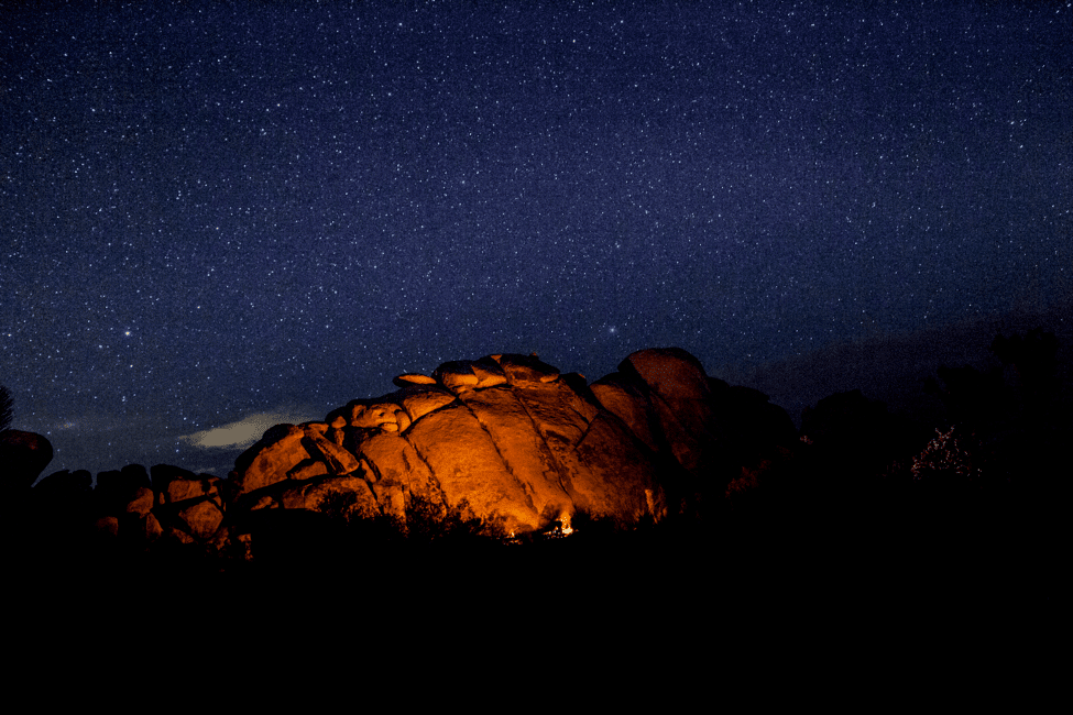 Night sky and stars Joshua Tree National Park