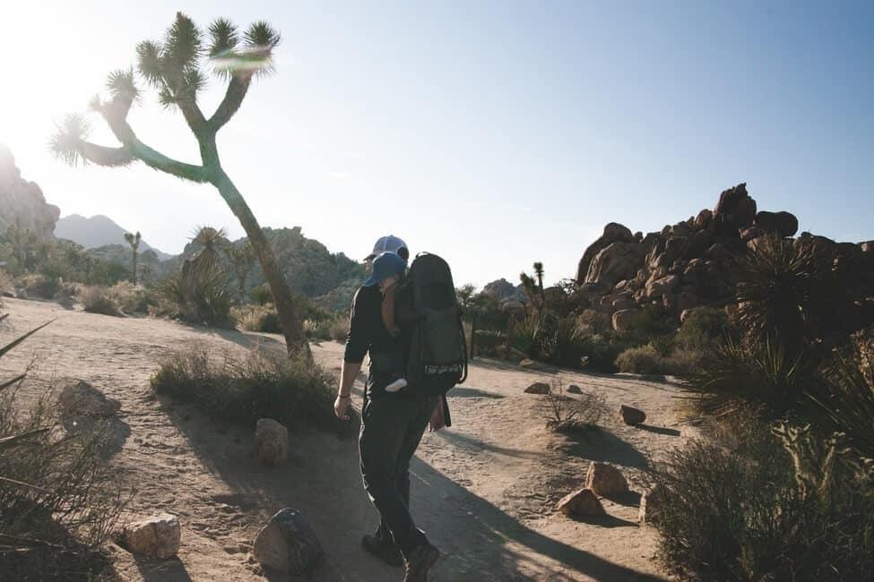 Hiking Joshua Tree National Park with Kids