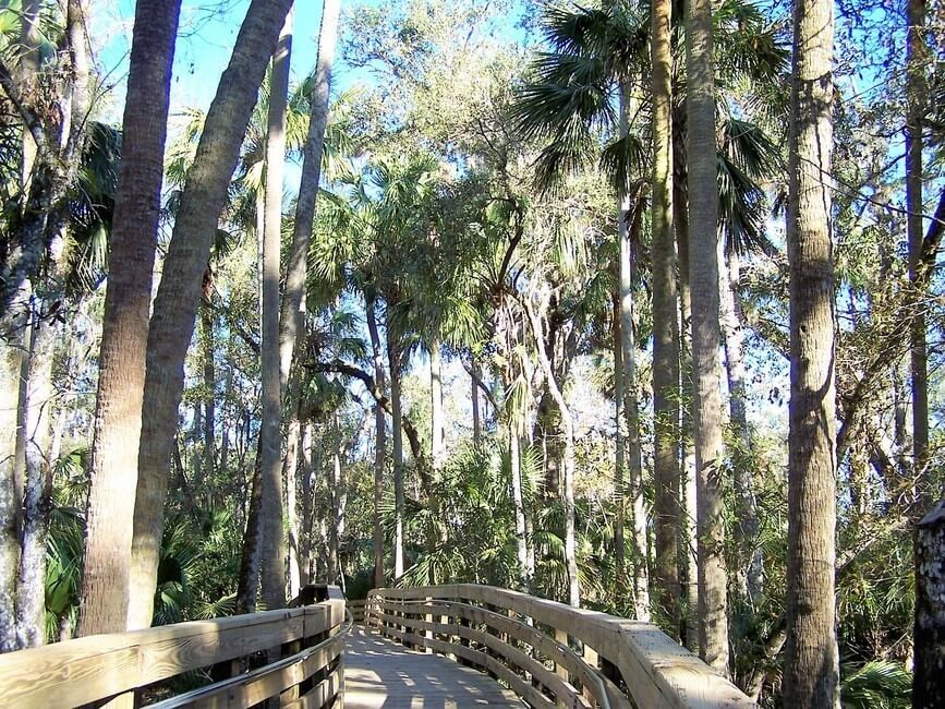 Boardwalk Blue Spring State Park Florida