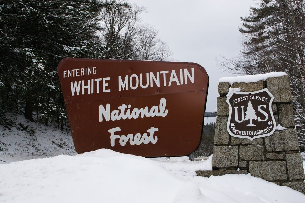 white mountain national forest sign