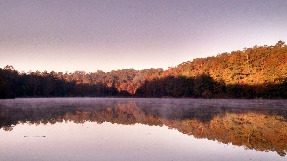 Sunset Over Lake Sumter National Forest South Carolina