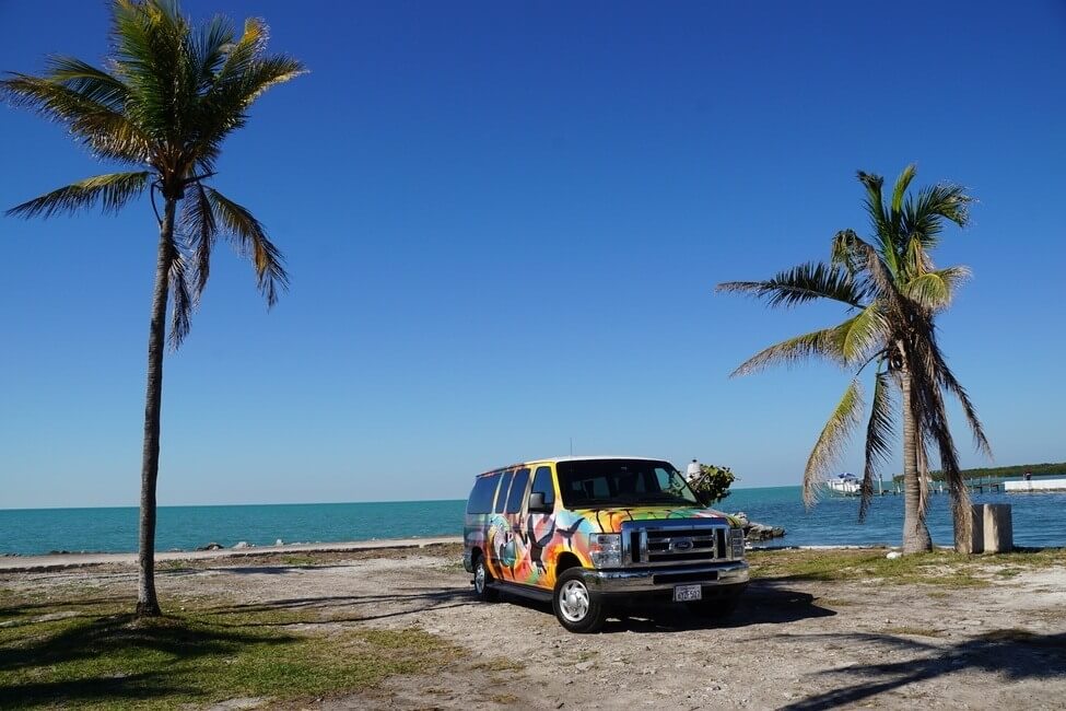 Palm Trees in South Florida with campervan