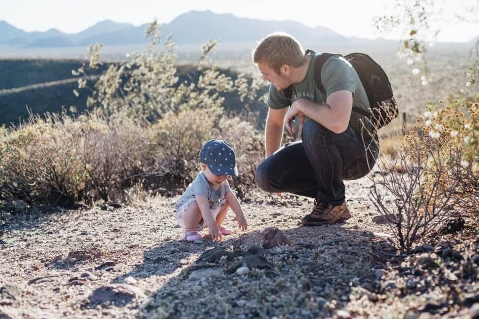 McDowell Mountains Regional Park Arizona