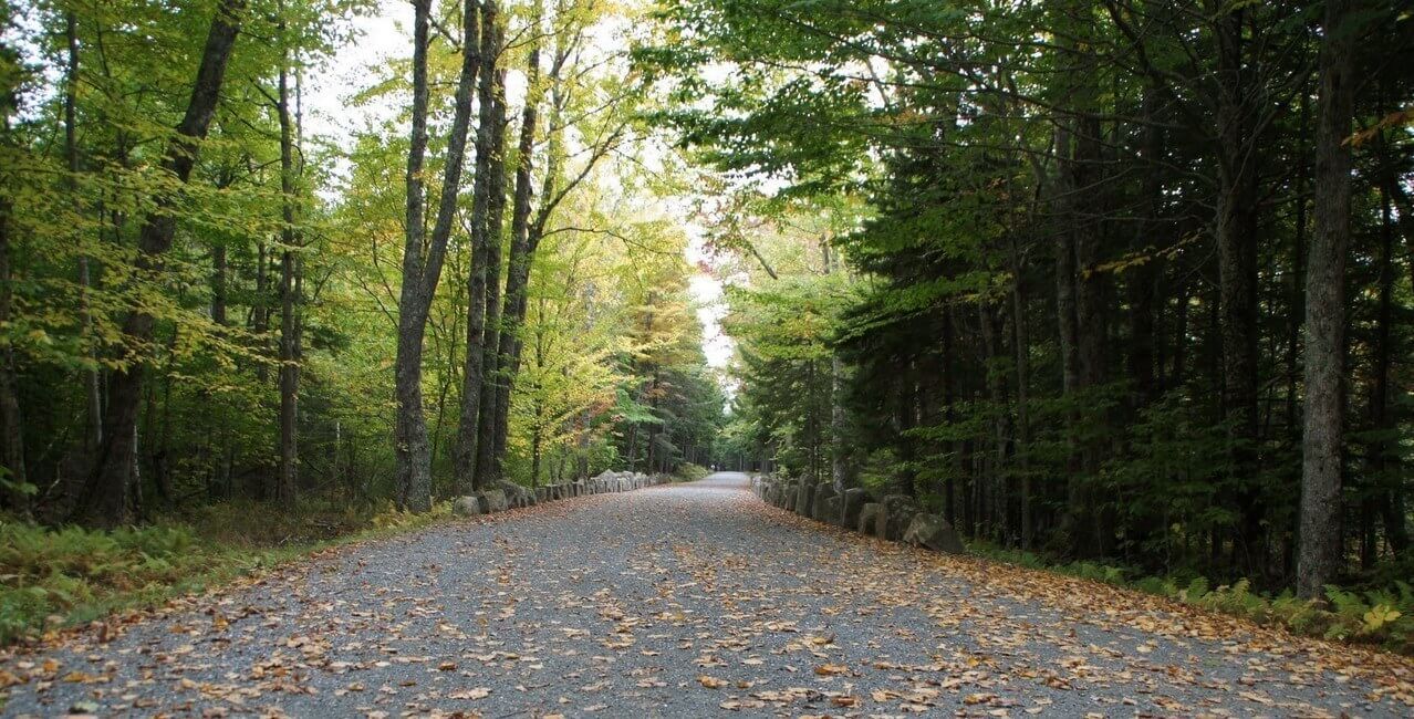 Carriage Road Acadia National Park