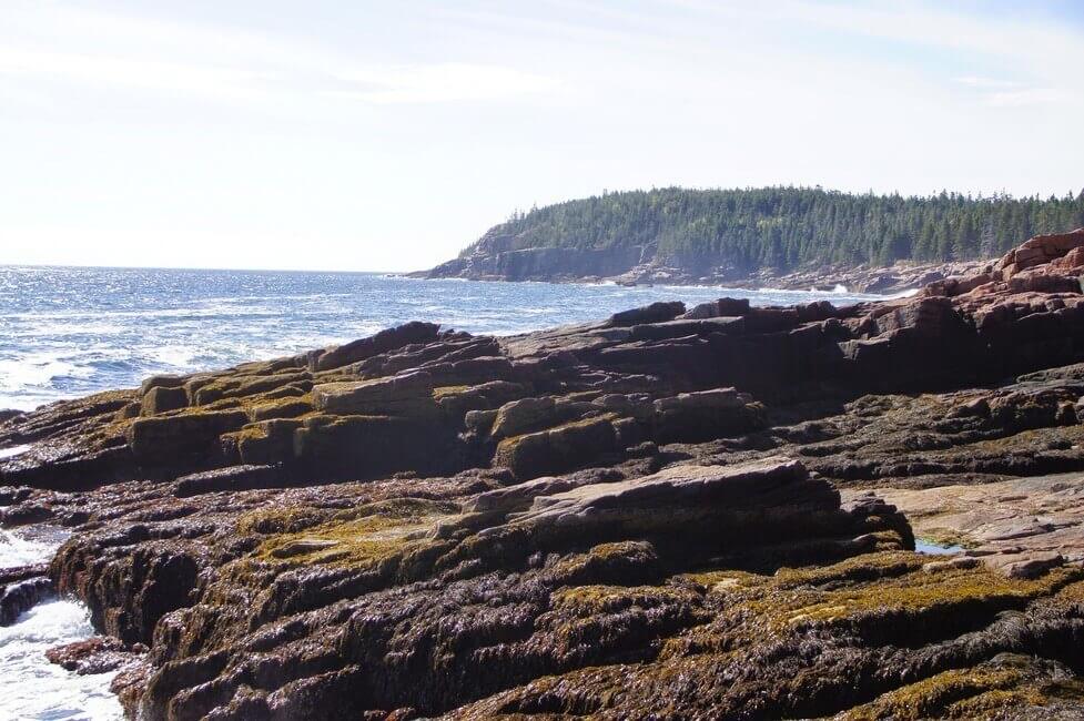 Ocean Path Acadia National Park Maine