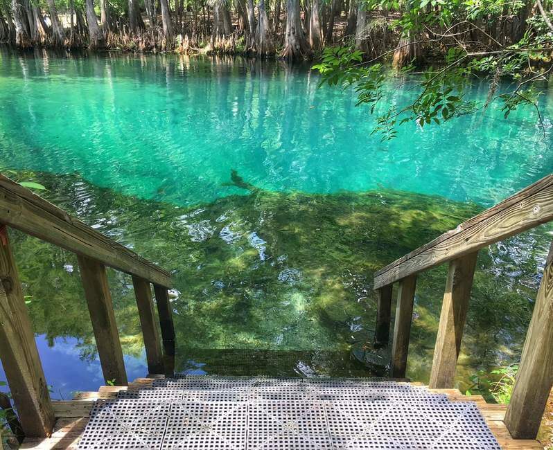 Natural Springs Florida