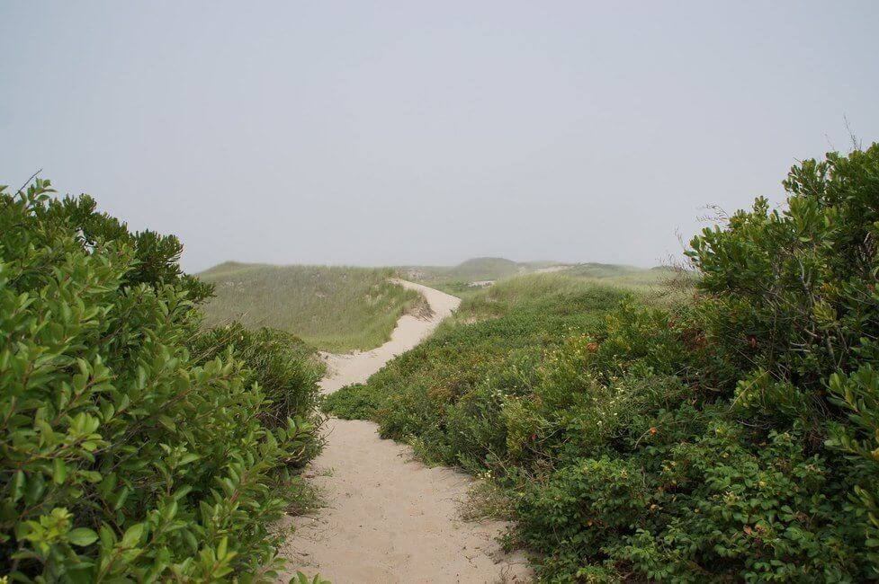 Trail Block Island Rhode Island