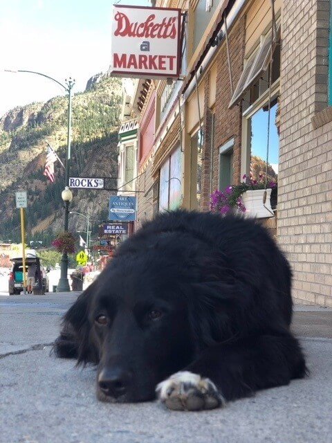 Ouray Southwest Colorado