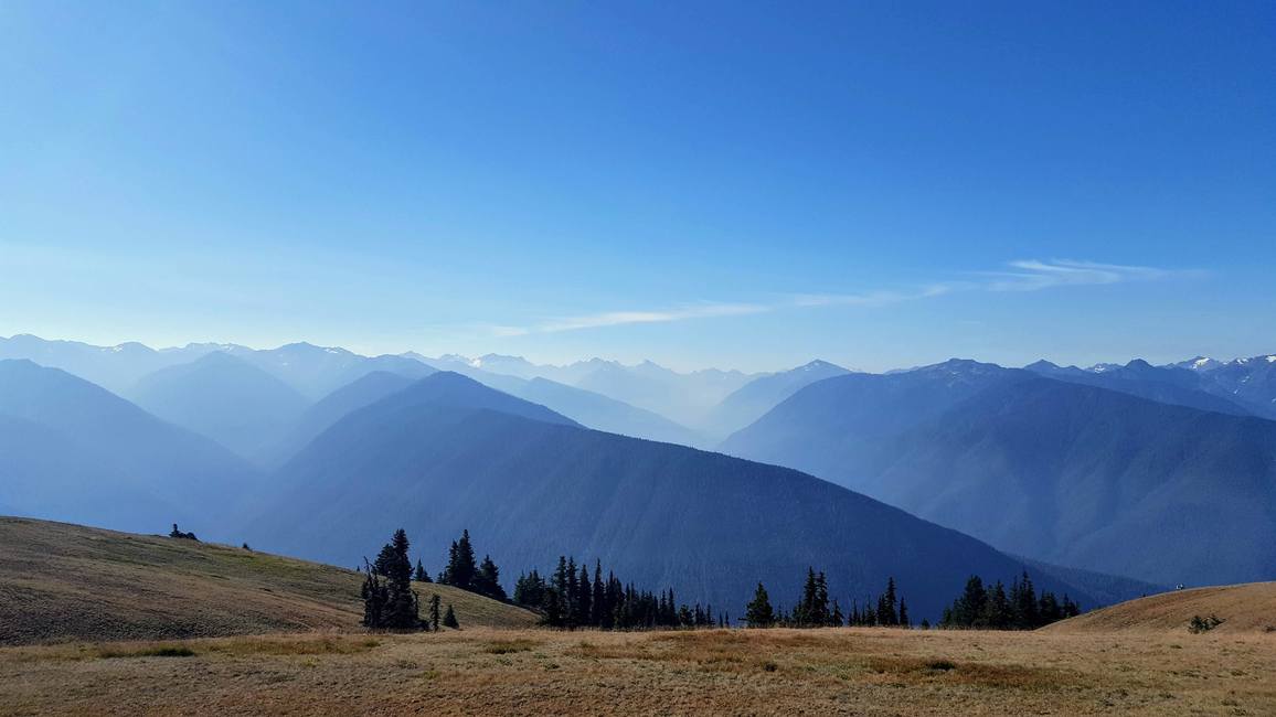 Hurricane Ridge, Olympic National Park, Washington