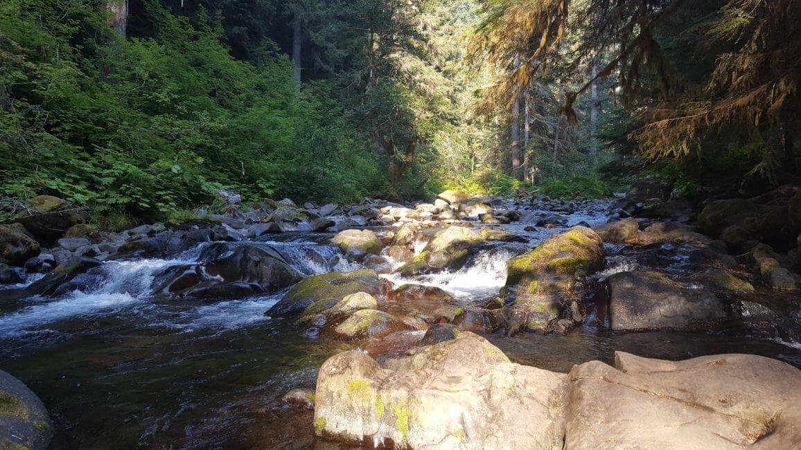 Sol Duc River, Olympic National Park, Washington