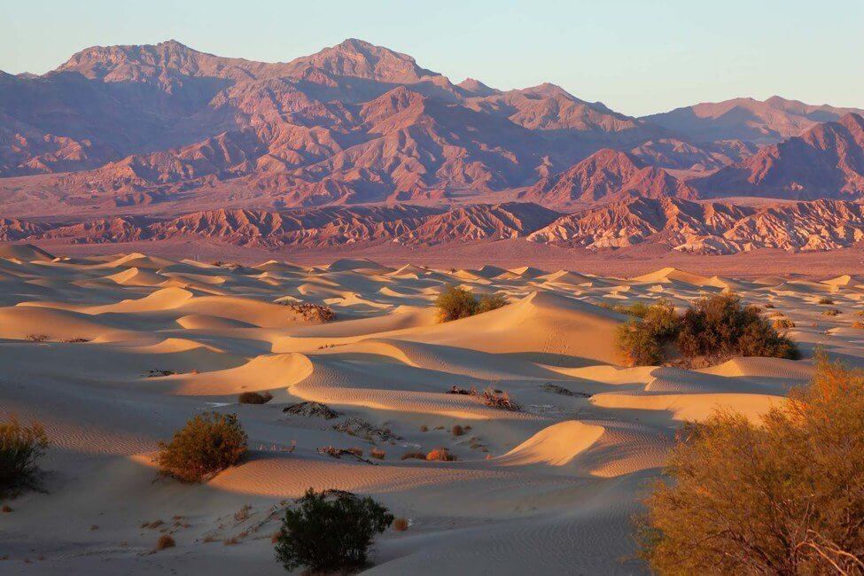 A unique place in Death Valley - Mesquete Flat Sand Dunes. Soft, sandy orange waves lit by the rising sun