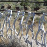 Horns A Plenty Antler Art Nevada
