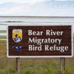 Bear River Migratory Refuge Utah