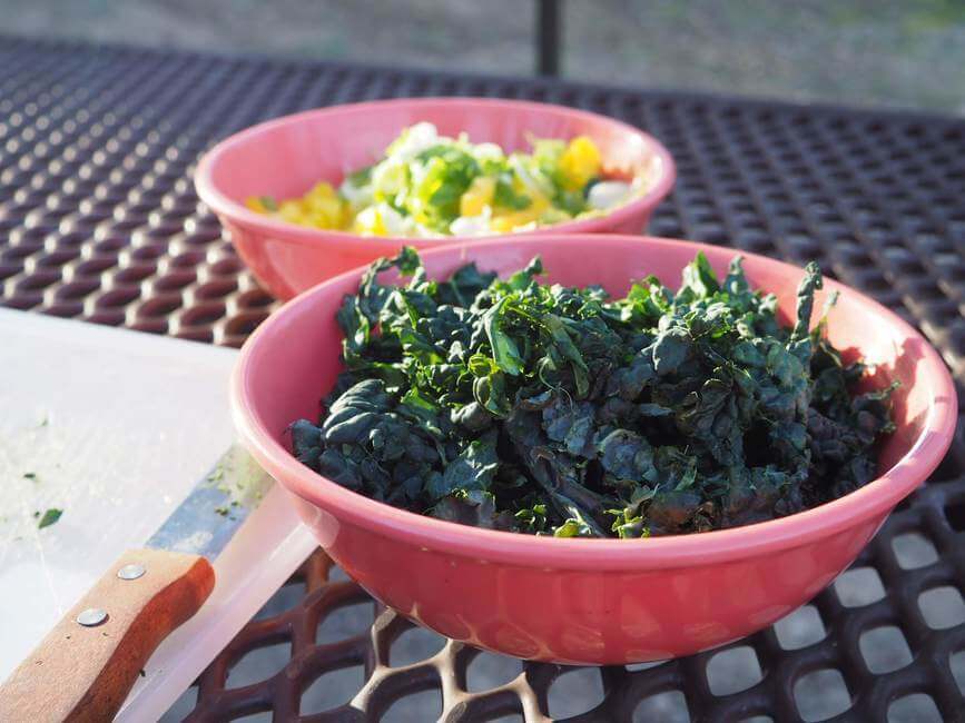 Healthy Campervan Kale picnic table road trip meal