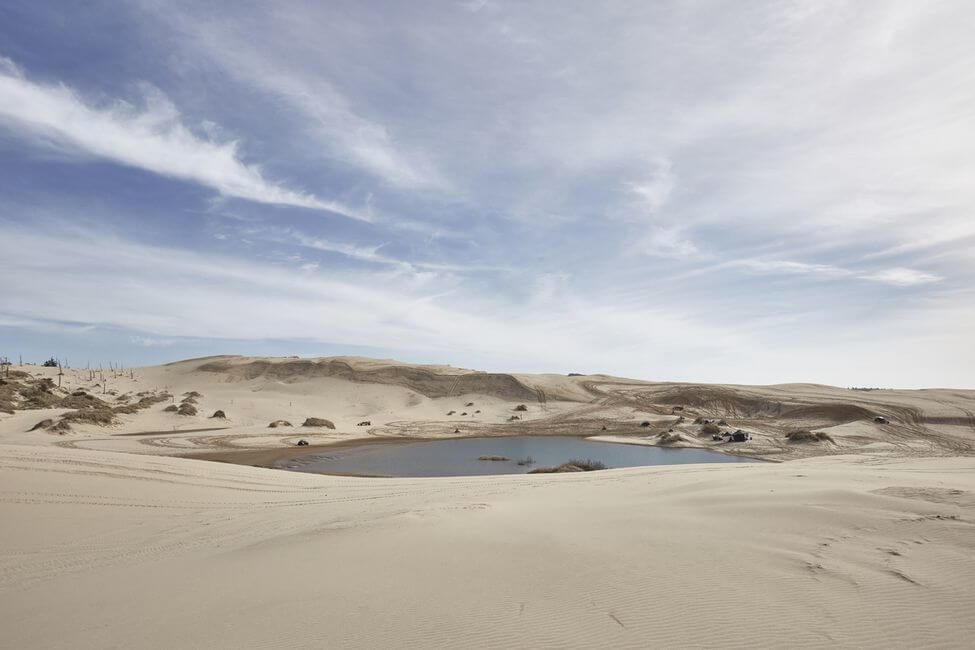 Oregon Coast Sand Dunes