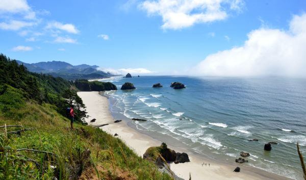 Oregon Coast Viewpoint