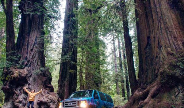 Redwood National Park California campervan
