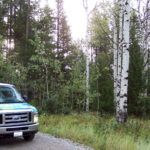 Targhee National Forest Idaho Aspen Trees Campervan
