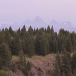 Targhee National Forest Idaho Tetons