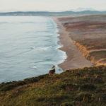 Tanner Burge Photography Campervan Road Trip Proposal