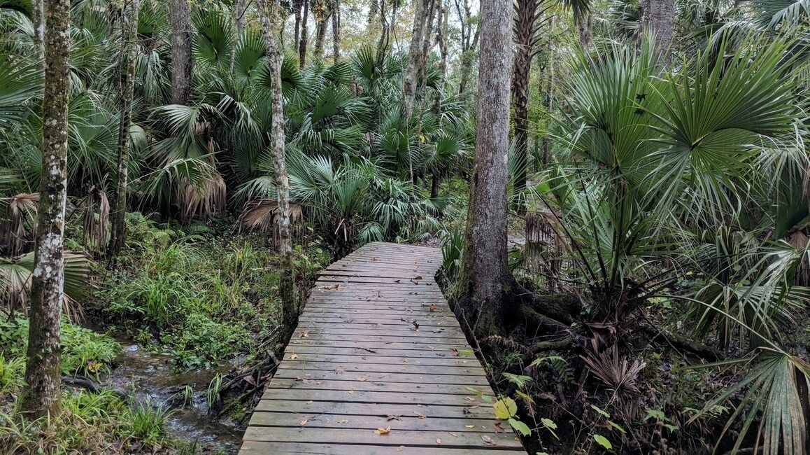 Soldiers Creek Trail Florida Bridge