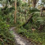 Soldiers Creek Trail Florida Trail