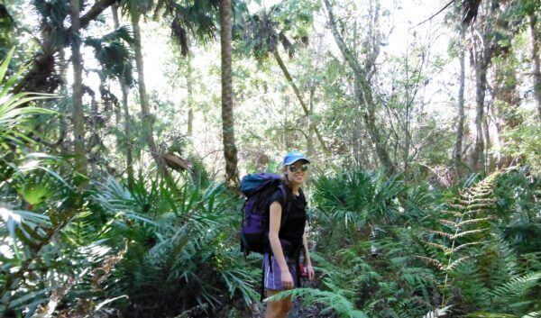 Spring Hammock Preserve Florida Hiking