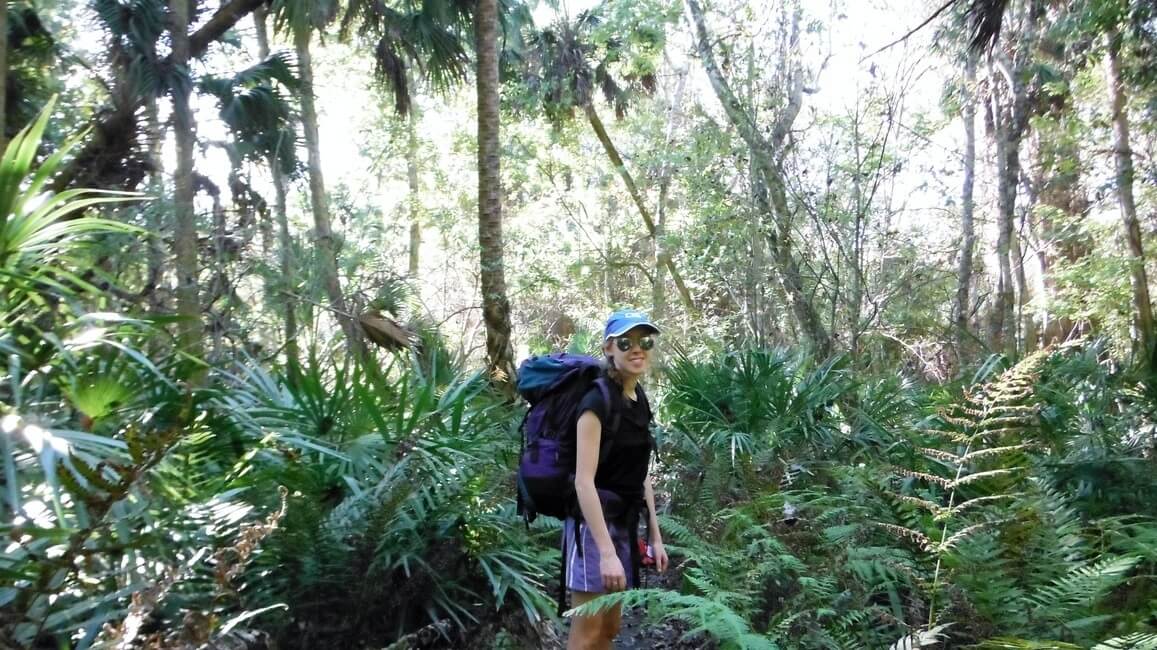 Spring Hammock Preserve Florida Hiking