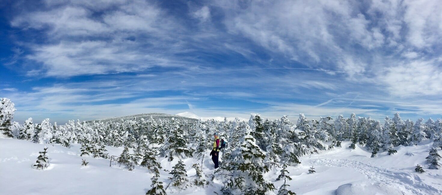 Winter Hike Snowy Trees