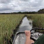 Potts Preserve Florida