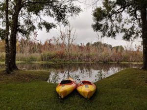Potts Preserve Florida kayaks