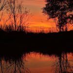 Potts Preserve Florida Sunset