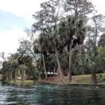 Rainbow River Florida