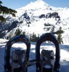 Snowshoeing artist point washington