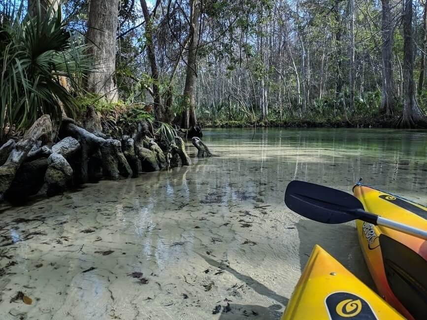 Withlacoochee River Florida Kayaking