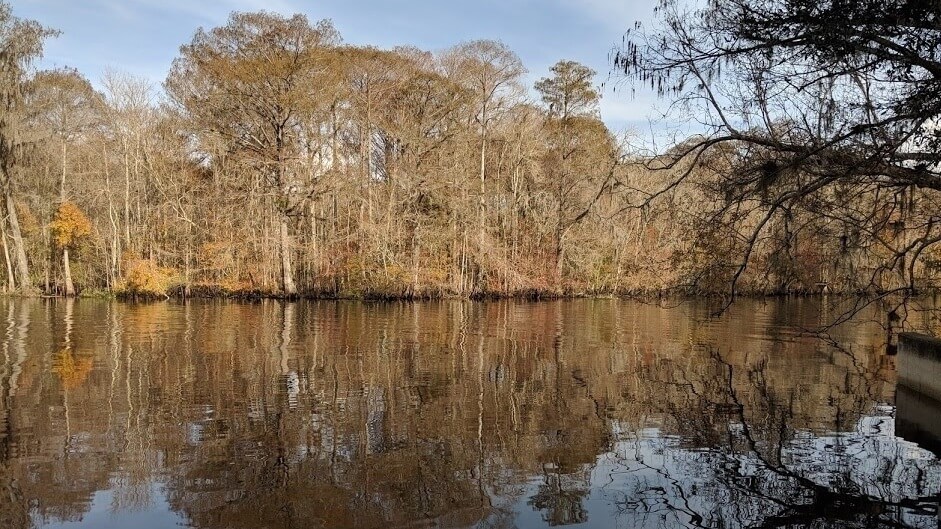 Withlacoochee River Florida