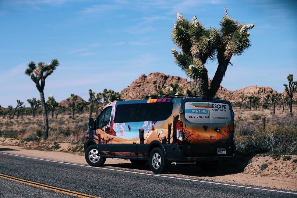 Joshua Tree National Park Campervan