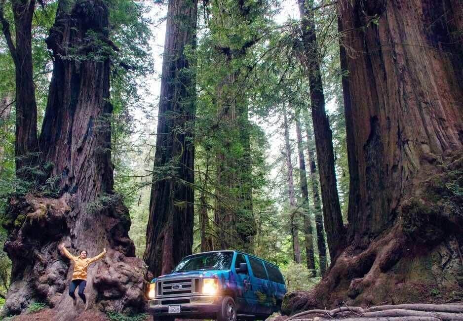Campervan in redwood forest
