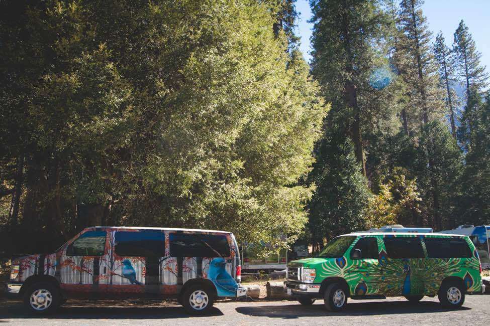 Two campervans in national park.