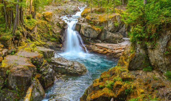 Silver Falls Mt Rainier Washington