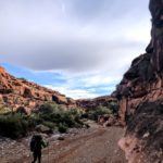 Hiking Havasu Canyon