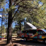Escape Campervan Pine Trees Campsite