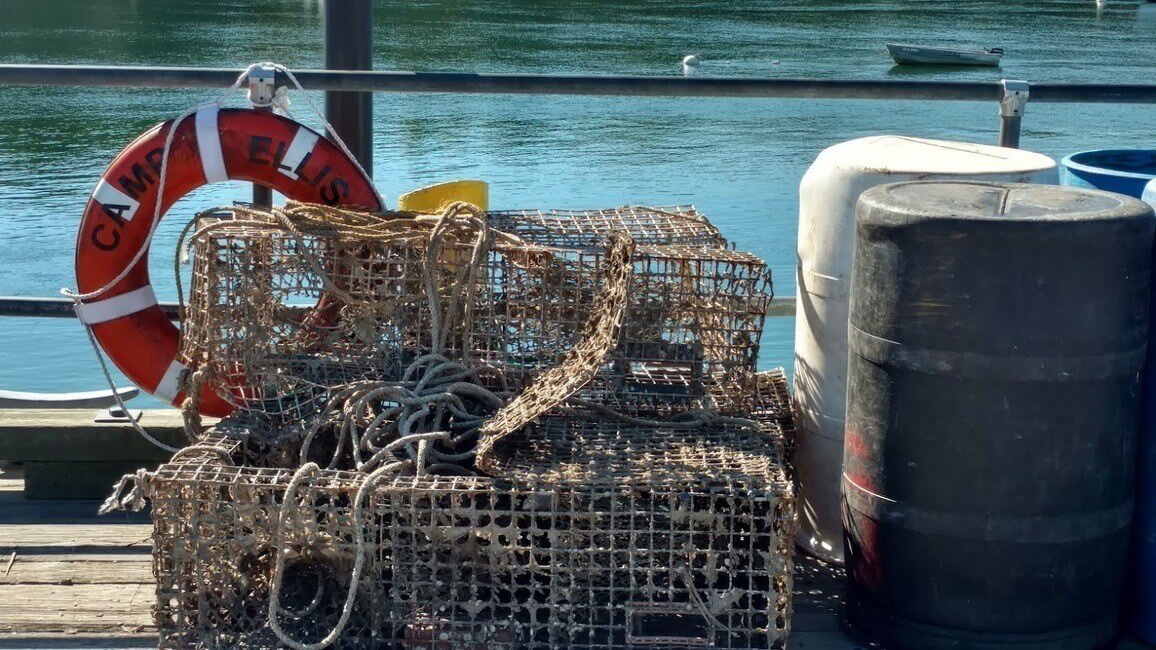Maine Lobster Traps