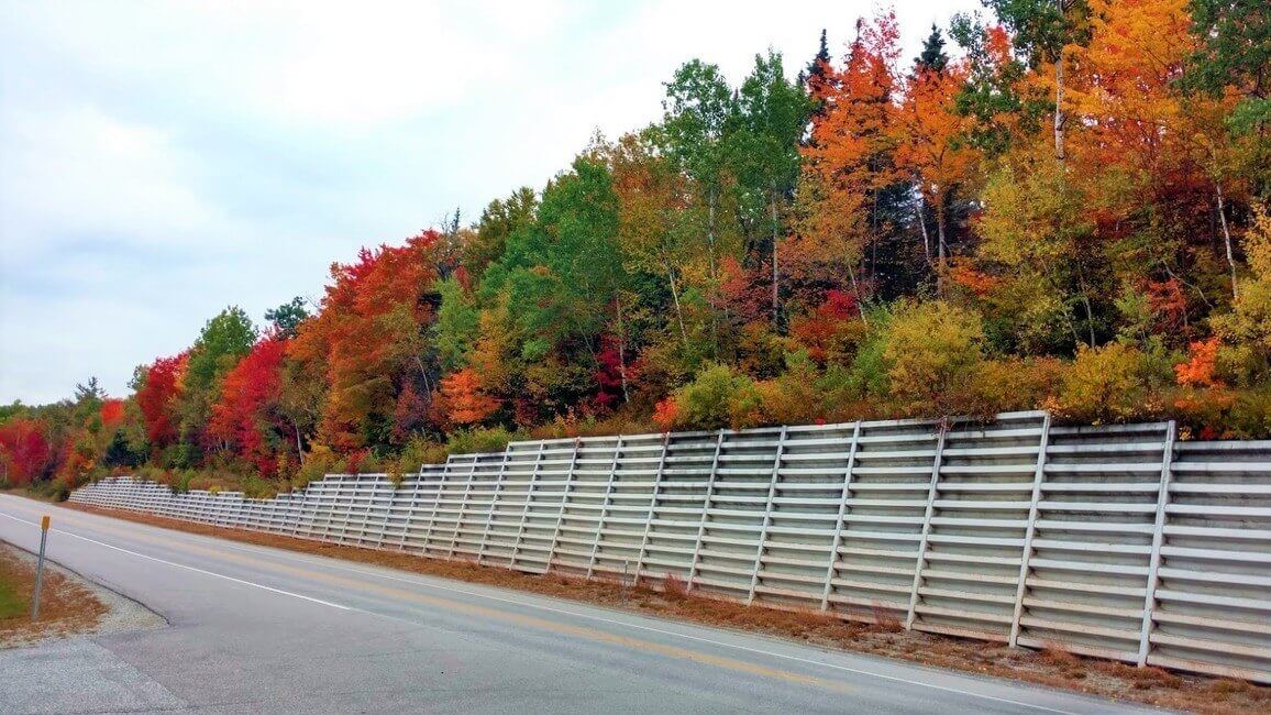 New Hampshire Fall Leaves