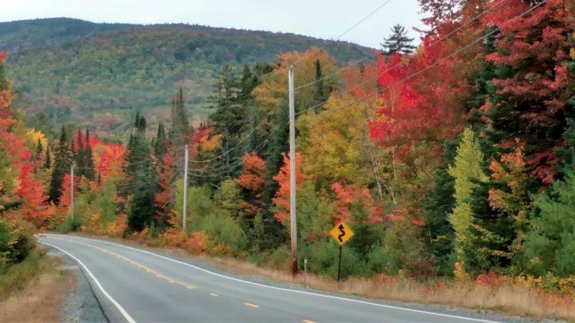 Vermont New England Road Fall Leaves