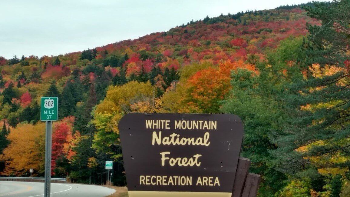 White Mountain National Forest Sign New Hampshire