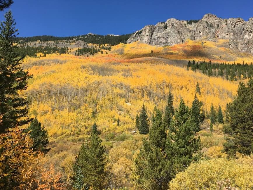 Fall Colors Guanella Pass